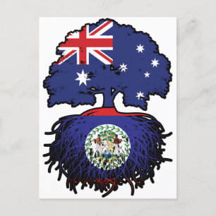 Cartão Postal Belize Raízes de Árvore Australiana Australiana