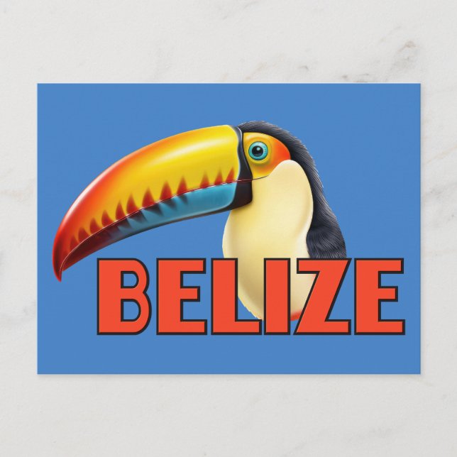 Cartão Postal BELIZE Toucan (Frente)