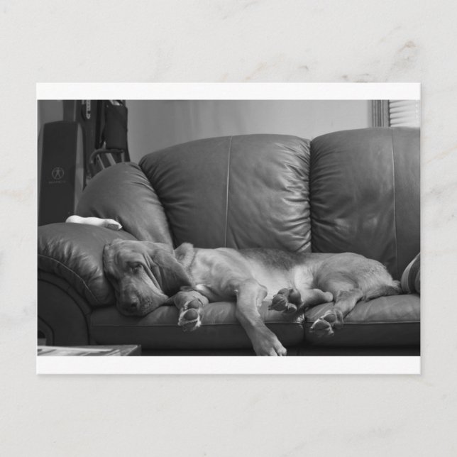 Cartão Postal Bella (Frente)