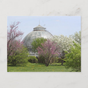Cartão Postal Belle Isle, Detroit, Michigan - Conservatory