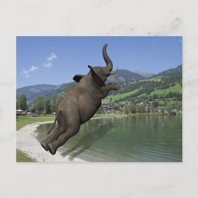 Cartão Postal Belly Flop Elephant (Frente)