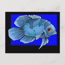 Cartão Postal Belo Azul Tropical Oscar Fish