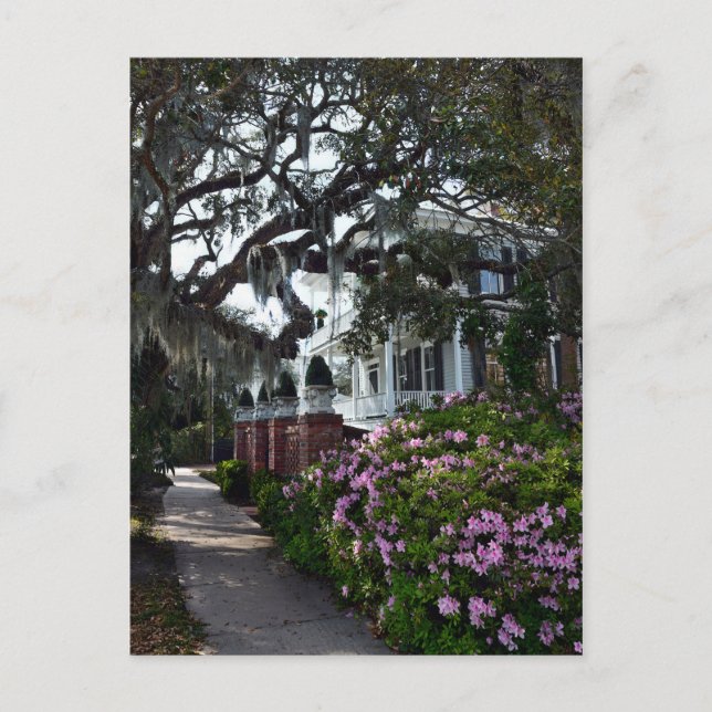 Cartão Postal Belo Beaufort, Carolina do Sul (Frente)