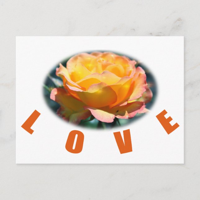 Cartão Postal belo brinde de flor amarela de rosa foto arte amor (Frente)