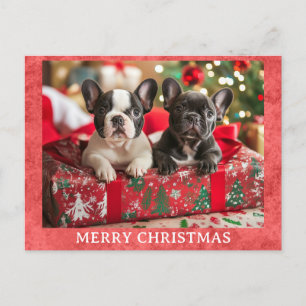 Cartão Postal Belo Bulldog Francês Feliz Natal