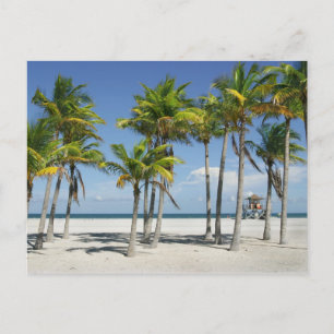 Cartão Postal Belo Cartão-postal Sunny Beach à tarde