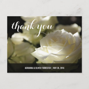 Cartão Postal Belo Casamento Romântico de Rosa Branca Obrigado