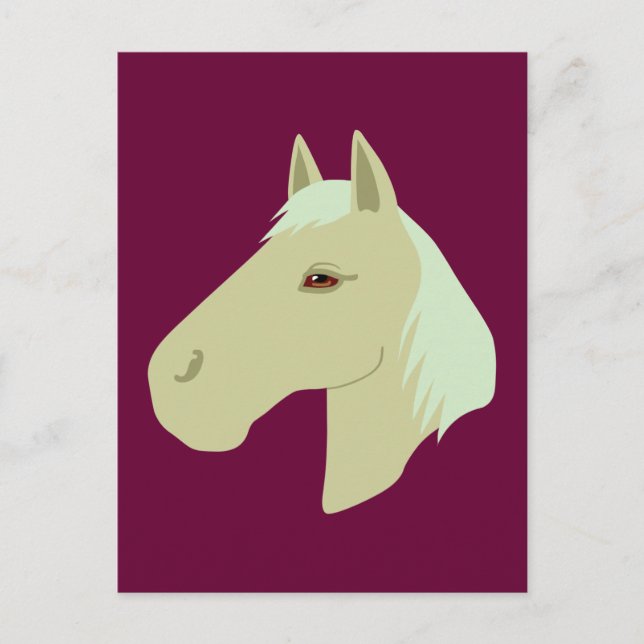 Cartão Postal Belo Cavalo (Frente)