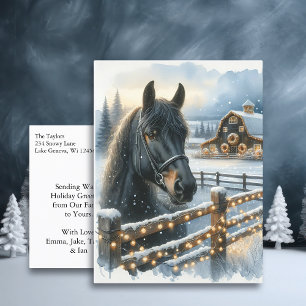 Cartão Postal Belo Cavalo Negro Festivo no Natal da Fazenda