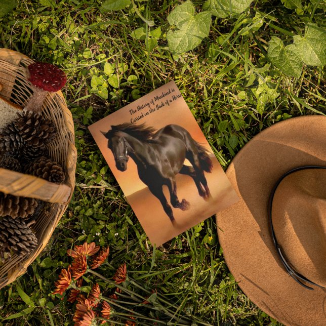 Cartão Postal Belo Cavalo No Sol Laranja (Criador carregado)