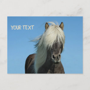 Cartão Postal Belo cavalo sob o céu azul