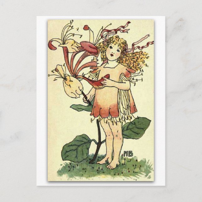 Cartão Postal Belo cretino de NELLIE BENSON (Frente)