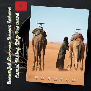 Cartão Postal Belo Deserto de Marrocos Sahara Camel Trip.