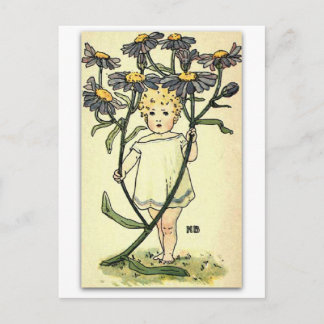 Cartão Postal Belo Michaelmas Daisy de NELLIE BENSON