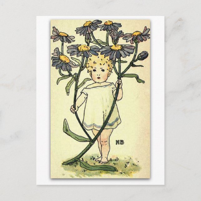 Cartão Postal Belo Michaelmas Daisy de NELLIE BENSON (Frente)