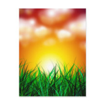 Belo nascer do sol sobre um campo de grama