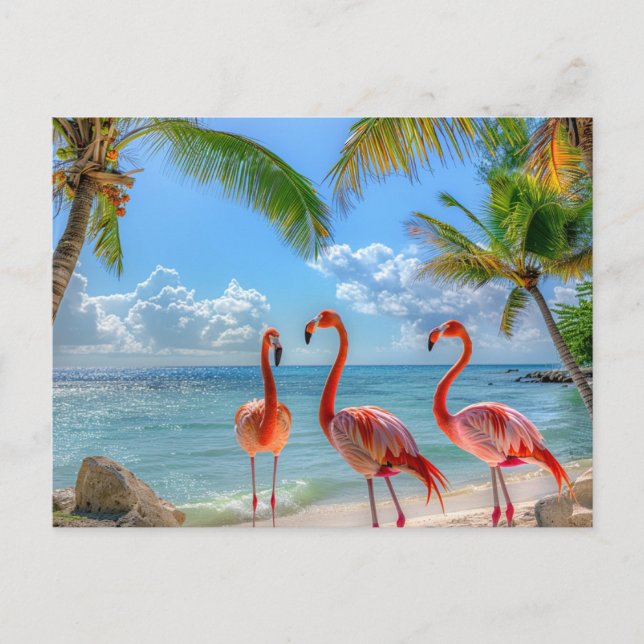 Cartão Postal Belo Oceano Rosa Flamingos Palmeiras Areia (Frente)