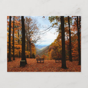 Cartão Postal Belo Outono