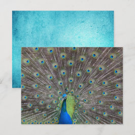 Cartão Postal Belo Pavão
