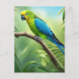 Cartão Postal Belo periquito na selva