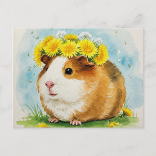 Cartão Postal Belo porco guineense com cartão-postal Dandelions
