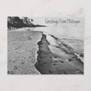 Cartão Postal Belo Primavera Lago Michigan Shoreline Beach