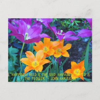 Cartão Postal Belo Primavera Tulipas Laranja Púrpura