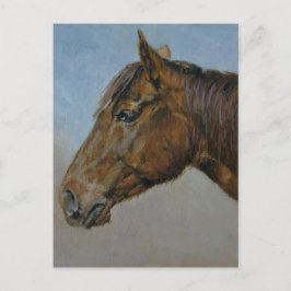 Cartão Postal Belo Retrato de Cavalo Marrom