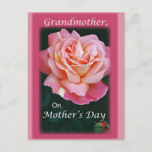 Cartão Postal Belo Rosa