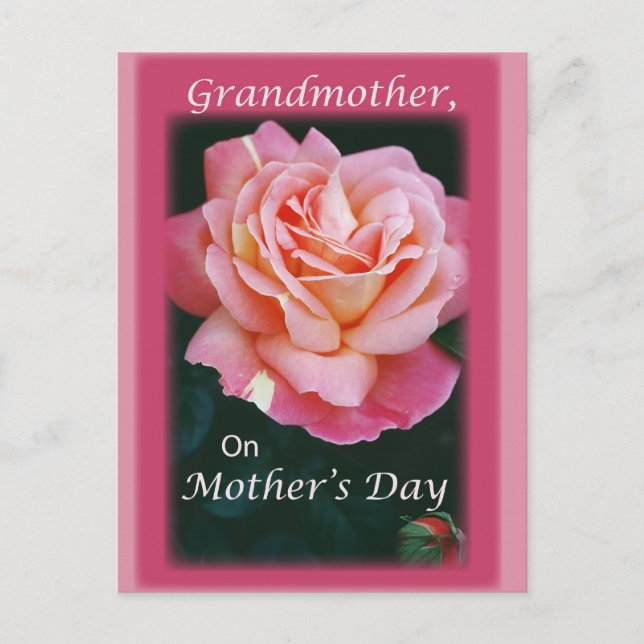 Cartão Postal Belo Rosa (Frente)