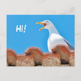 Cartão Postal Belo Seagull - Olá Cartão-postal