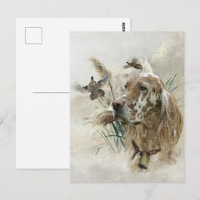 Cartão Postal Belo setter com faisões, arte (Frente/Verso)