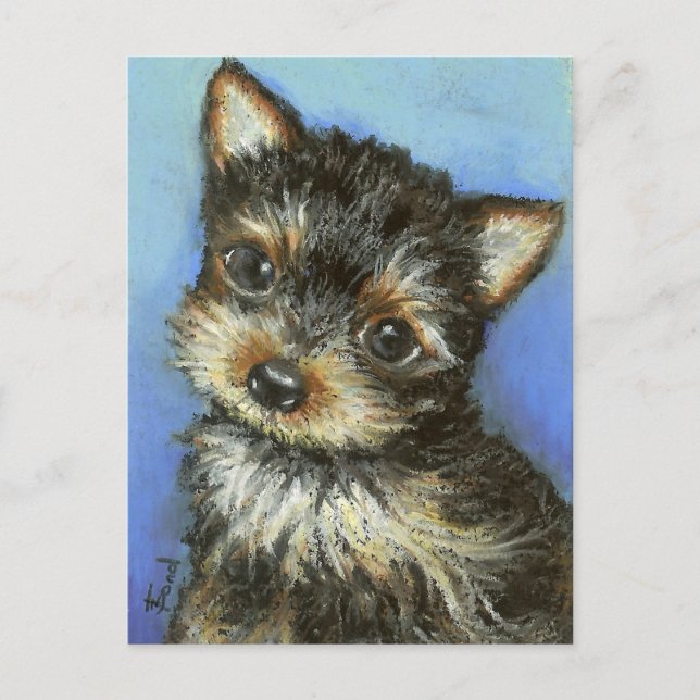 Cartão Postal Belo Yorkie (Frente)