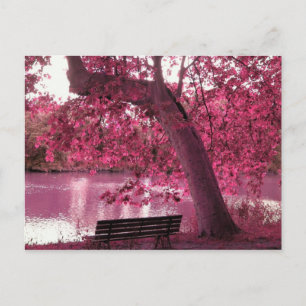 Cartão Postal Belos flores rosados em todo lugar