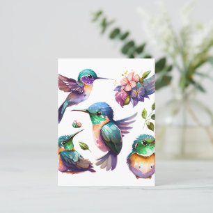 Cartão Postal Belos & Lindos Beija-flores para Amantes de Pássar