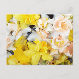 Cartão Postal Belos primavera de fotos flutuando na água