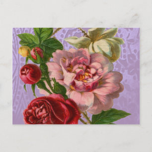 Cartão Postal Belos Rosas Coloridos
