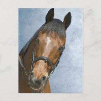 Cartão Postal Bem, Olá Lá