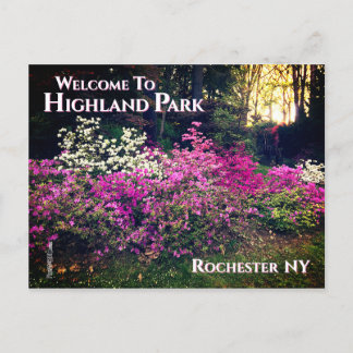 Cartão postal - Bem-vindo ao Highland Park Rochest