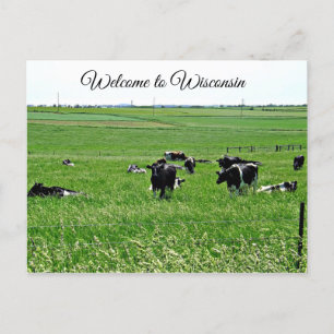 Cartão Postal Bem-vindo ao Wisconsin Cows no Field Postcard