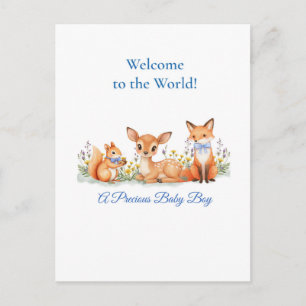 Cartão Postal Bem-vindo Menino Animais da Floresta Veado Raposa 