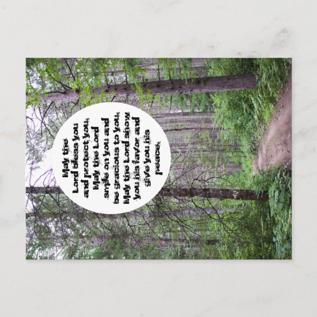 Cartão Postal Bênção de North Woods (Frente)