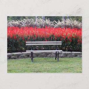 Cartão Postal Bench Red Floral Photo