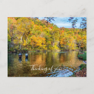 Cartão Postal Bennett Primavera Autumn Fisheries Thinking U Post
