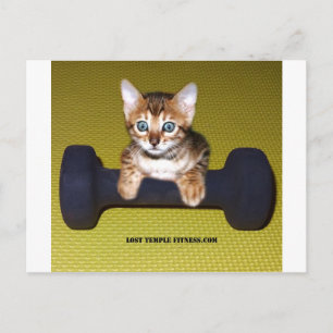 Cartão Postal Bental Kitten com Dumbbell Yellow
