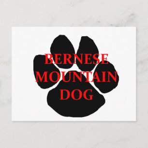 Cartão Postal ber mt dog name paw.png