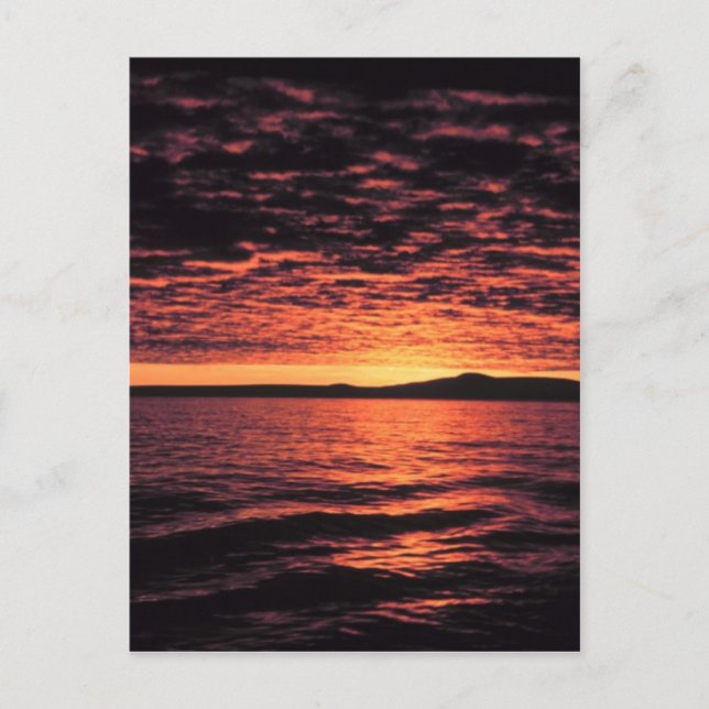 Cartão Postal Bering Sea Sunset (Frente)