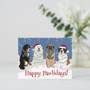 Cartão Postal Bernese Leonberger Excelente Pyrenes