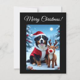 Cartão Postal Bernese Mountain Dog Natal