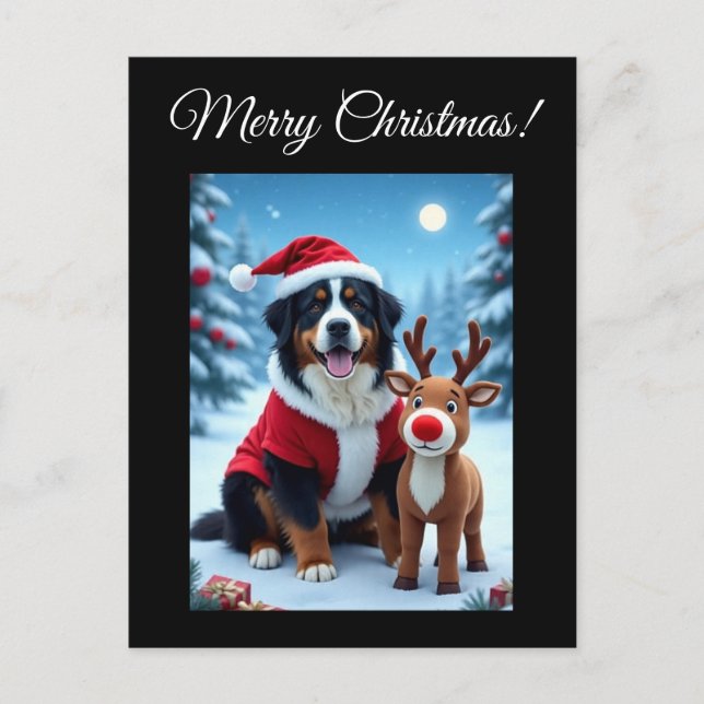 Cartão Postal Bernese Mountain Dog Natal (Frente)